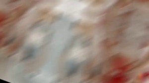 是你们最满怀期待的胡桃吗