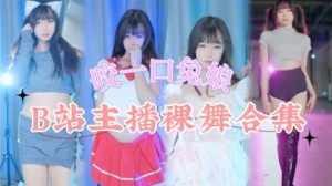 网传B站主播裸舞合集