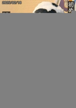 SNAMH-004 初めての真正中出し解禁5発 渋谷ギャルとラブホで生輪撮影